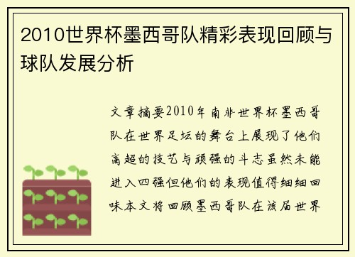 2010世界杯墨西哥队精彩表现回顾与球队发展分析